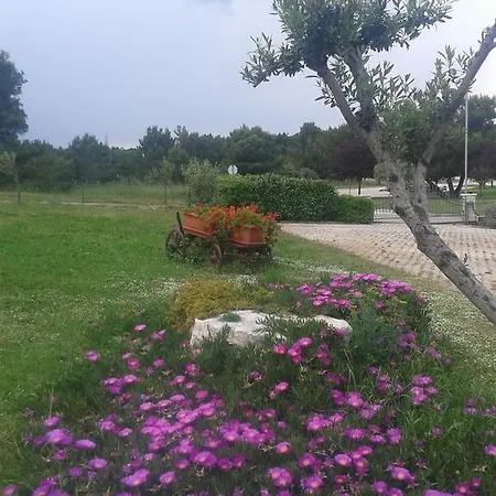 Lena * Premantura